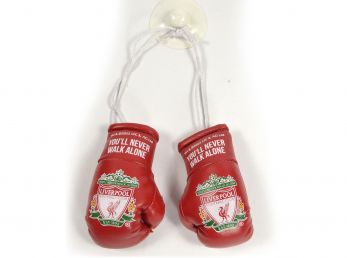 Liverpool Boxing Gloves Car Hanger YNWA