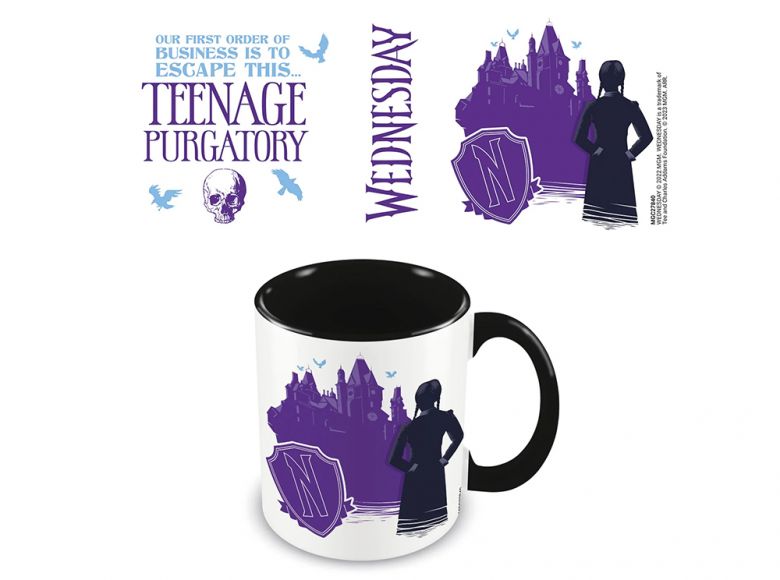 Wednesday Teenage Purgatory Black Inner Boxed 11 Oz Mug