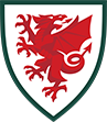 Shop All Wales FAW