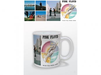 Pink Floyd Wish You Were Here Boxed Mug